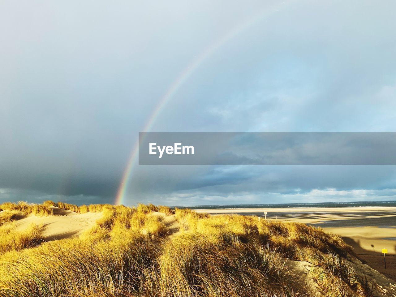 Scenic view of field against rainbow in sky