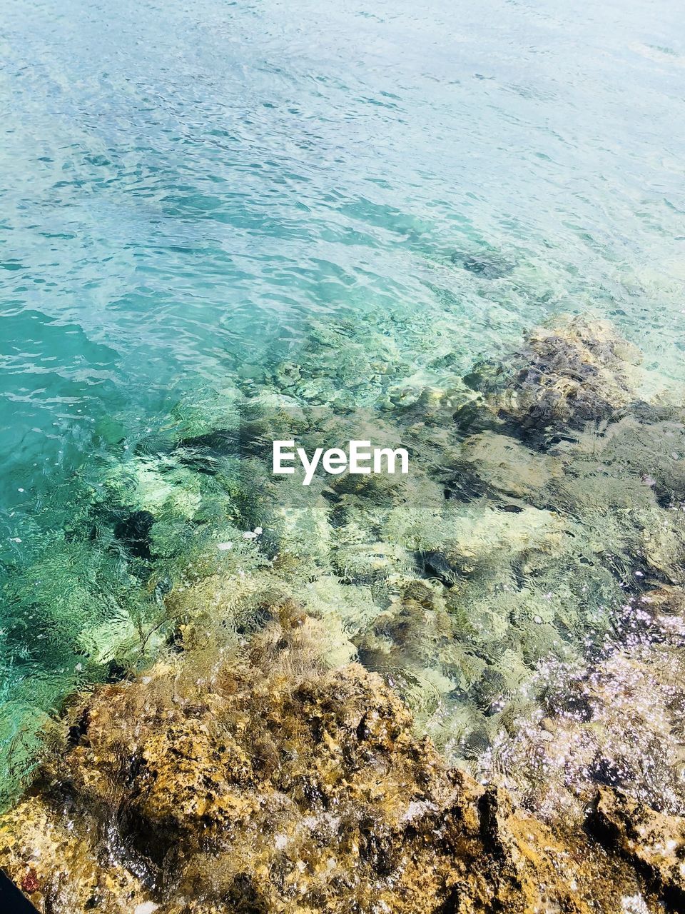 HIGH ANGLE VIEW OF SURF ON SHORE