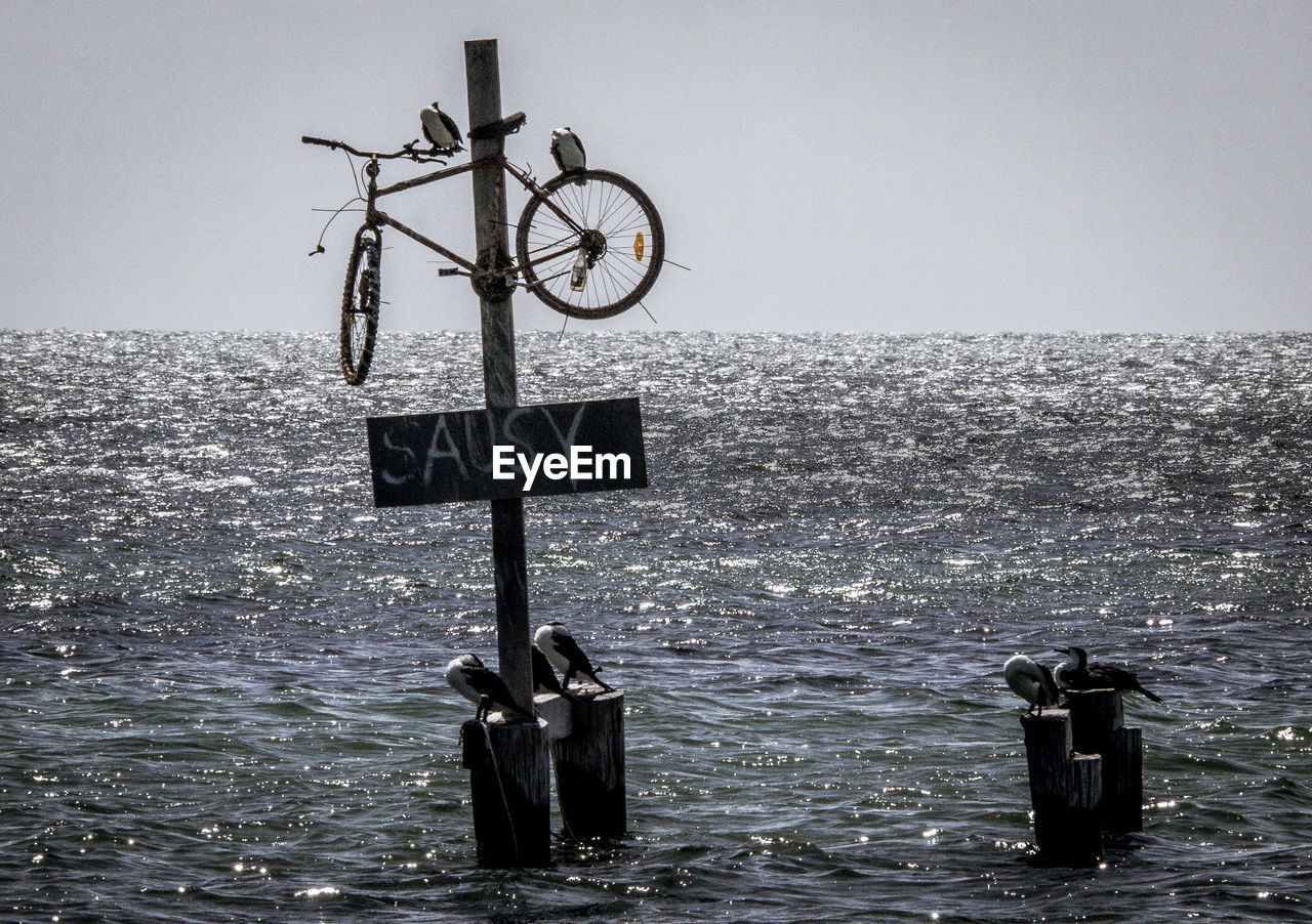 BICYCLE ON SHORE AGAINST SEA