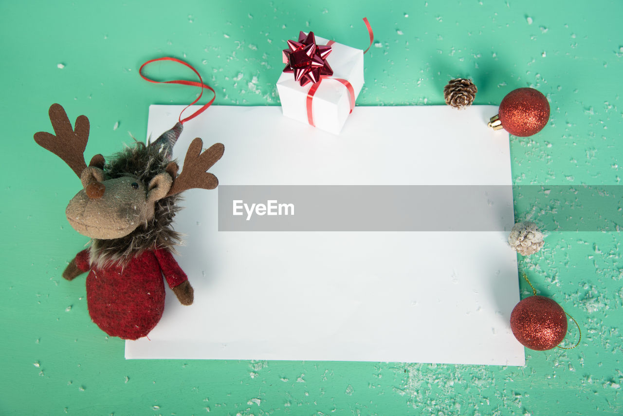 High angle view of an animal on table