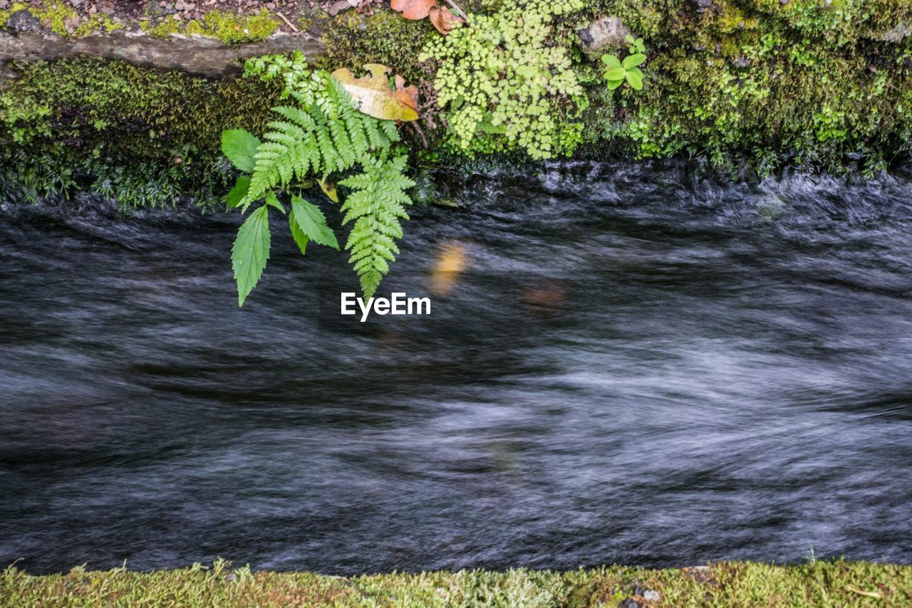 SCENIC VIEW OF WATER FLOWING ON FIELD