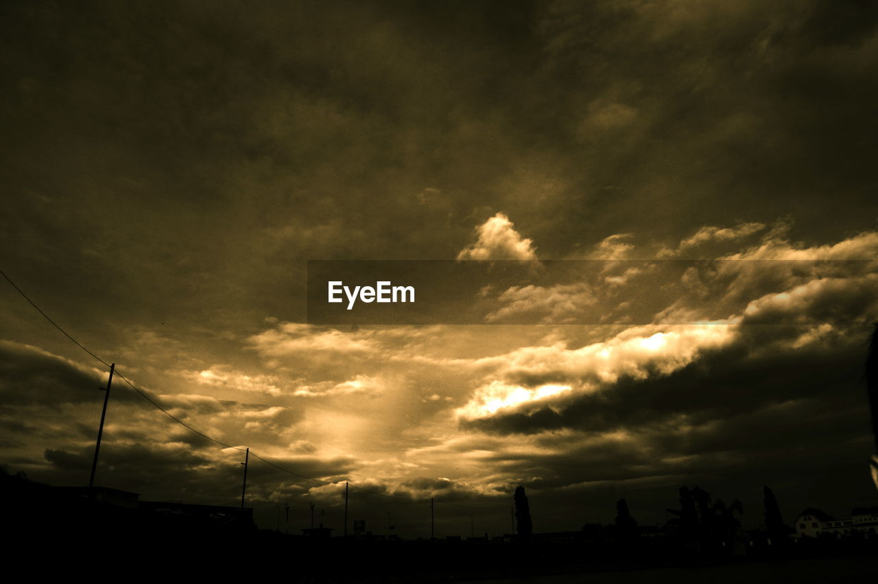 SILHOUETTE OF TREES AGAINST SKY