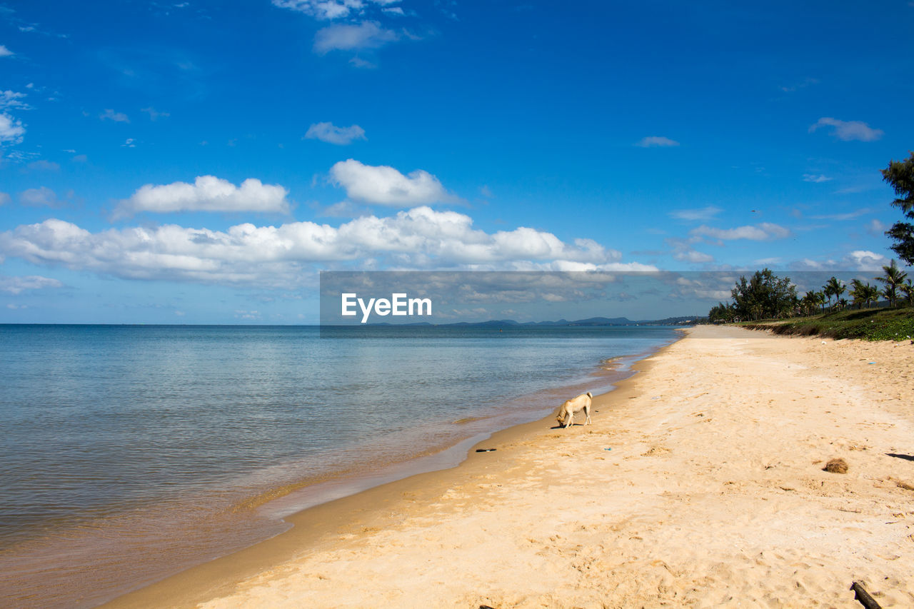 View of beach against cloudy sky