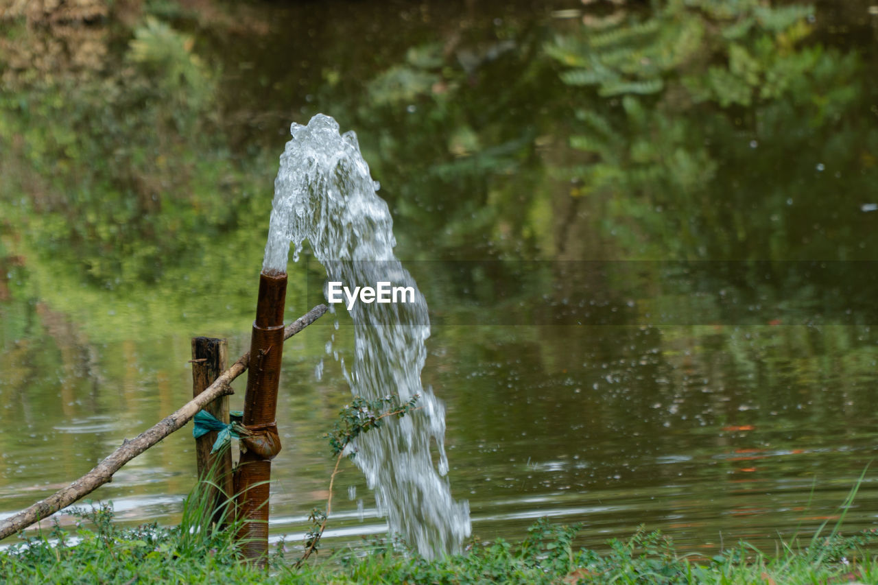 Water splashing in lake against trees