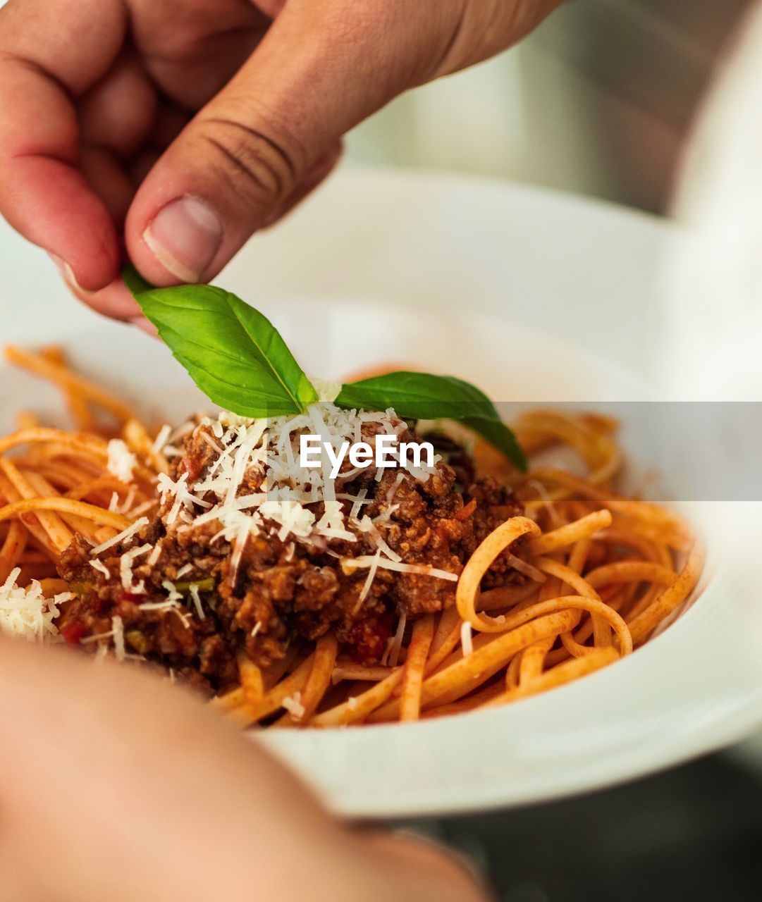 Close-up of hand holding food in plate