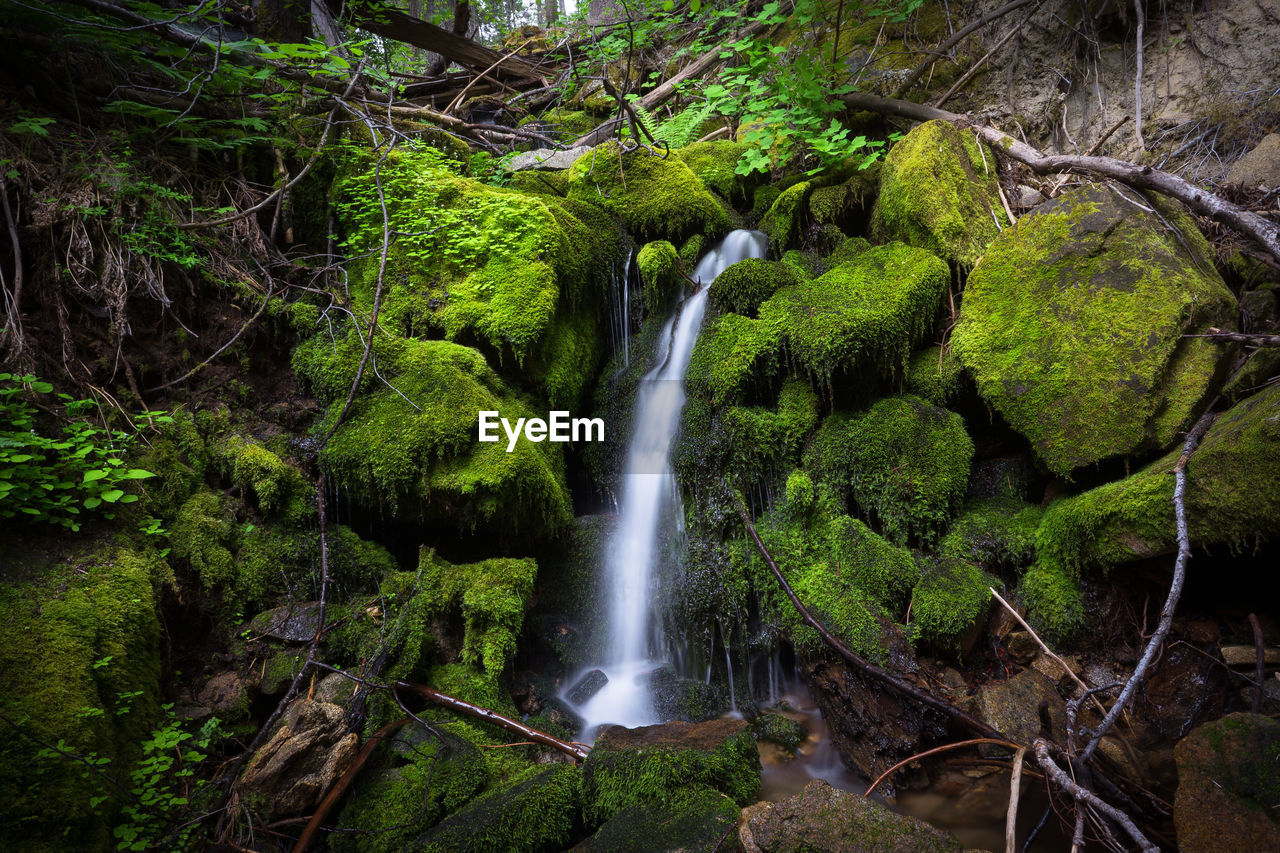 SCENIC VIEW OF WATERFALL