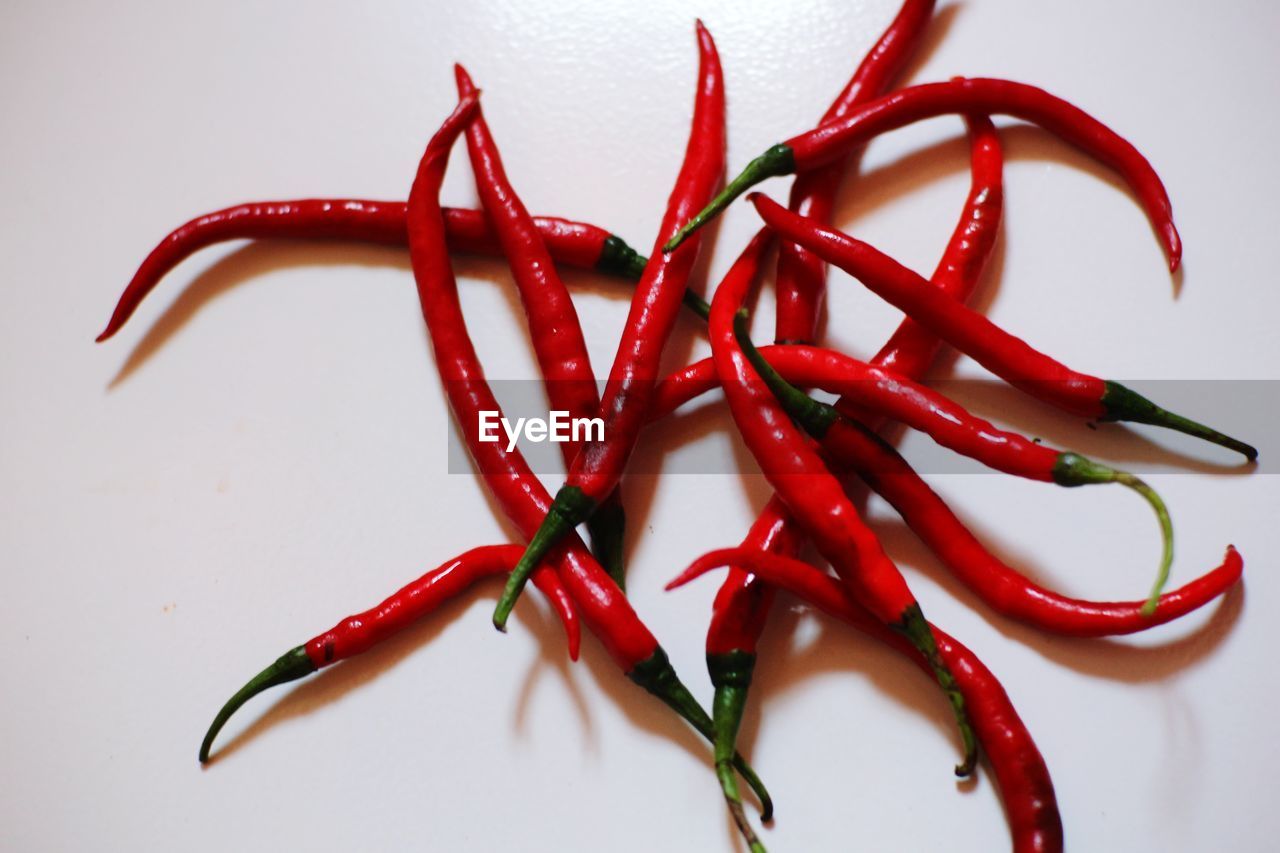 HIGH ANGLE VIEW OF RED CHILI PEPPERS ON WHITE BACKGROUND