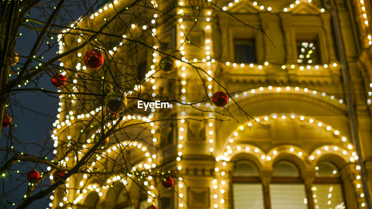 LOW ANGLE VIEW OF CHRISTMAS TREE