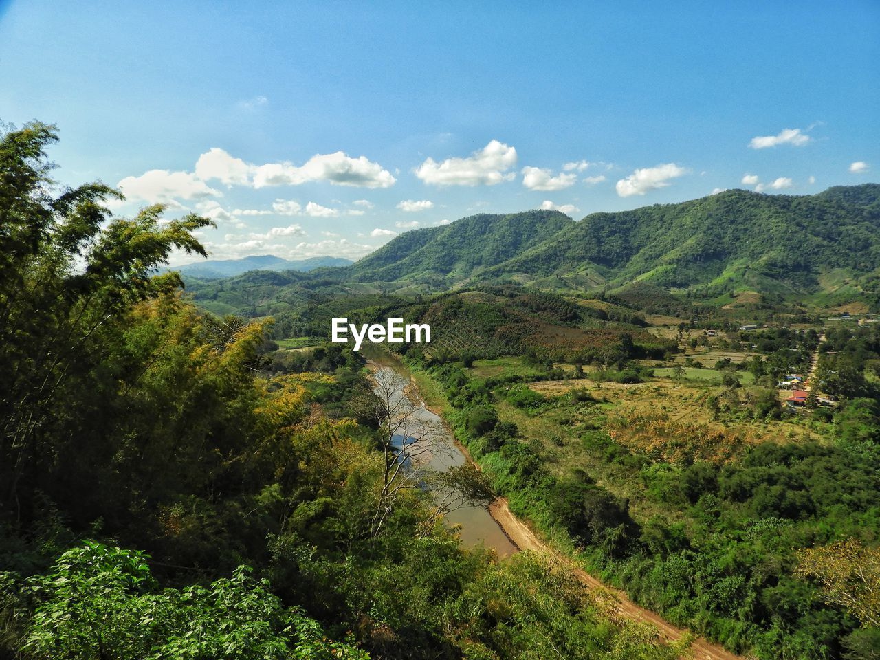 SCENIC VIEW OF ROAD AMIDST TREES AGAINST SKY