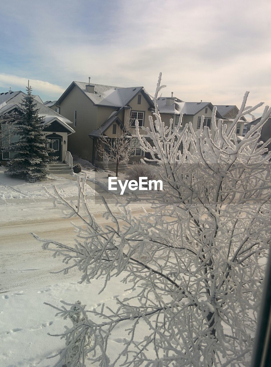 Houses on snow covered landscape