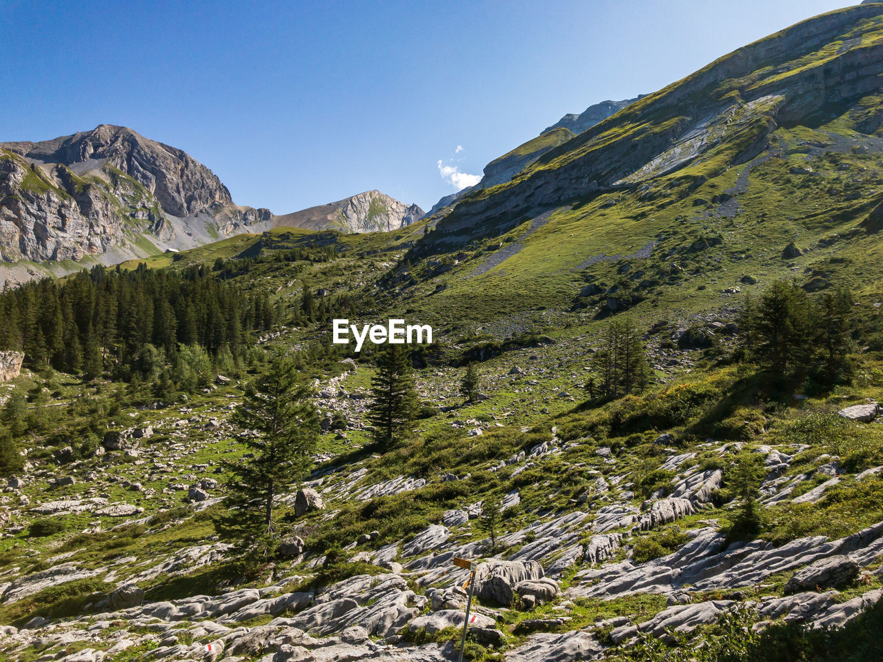 SCENIC VIEW OF MOUNTAIN AGAINST SKY