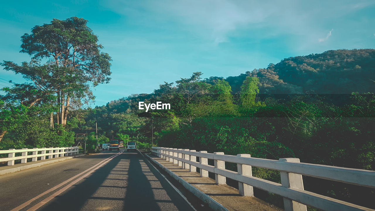 Road amidst trees against sky