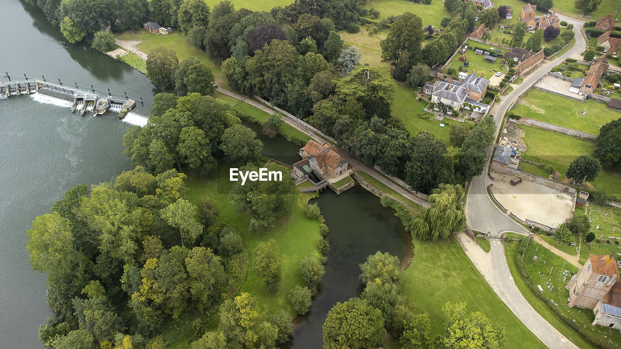 HIGH ANGLE VIEW OF TREES AND PLANTS