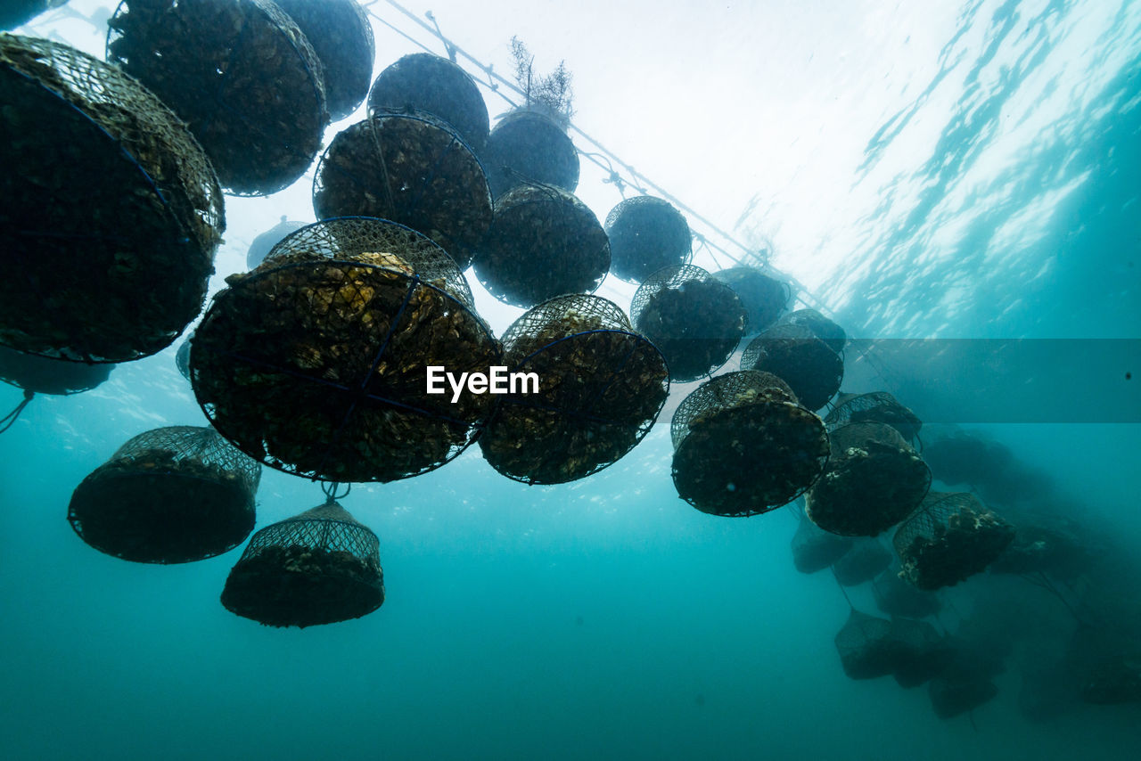 Oyster farm, ishikawa, notojima , japan