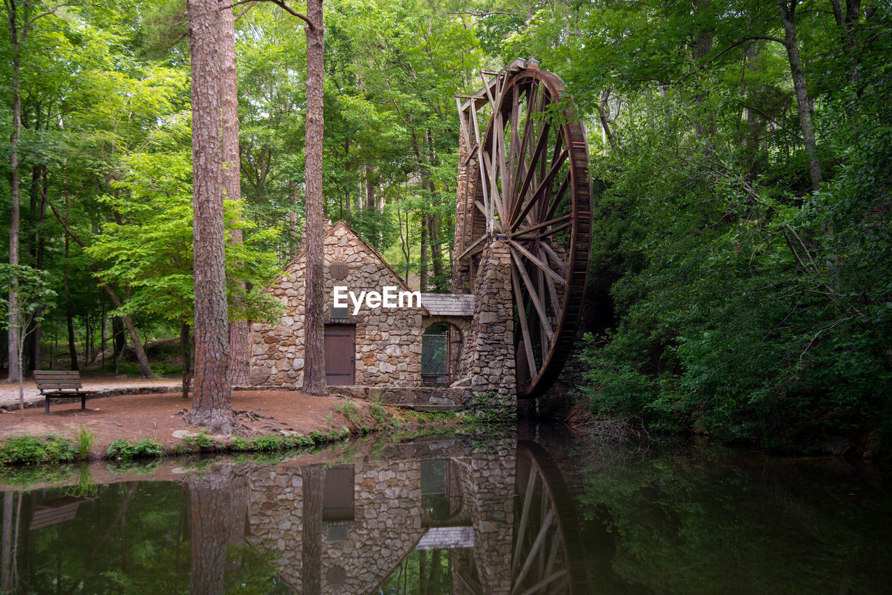 Watermill reflecting on calm pond in forest