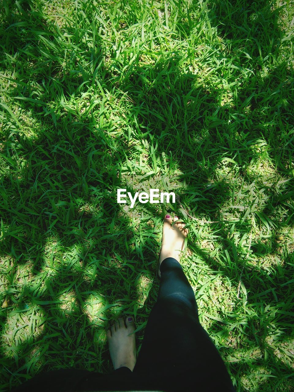 Low section of woman standing on grassy field