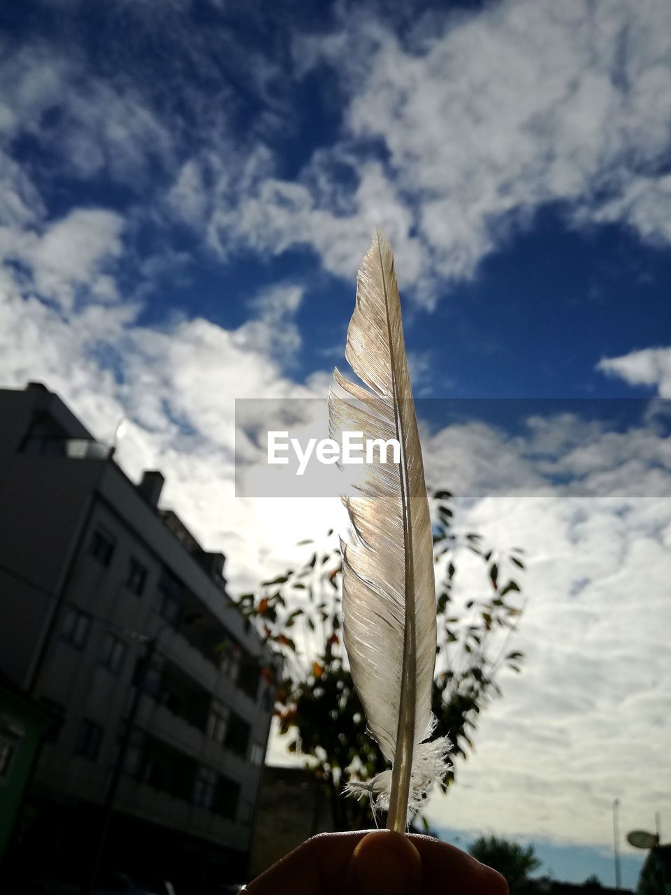 LOW ANGLE VIEW OF TALL BUILDING AGAINST SKY