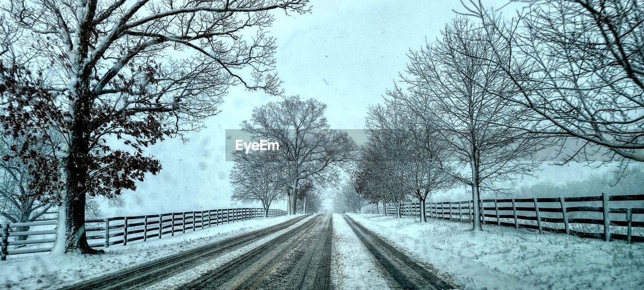 tree, snow, plant, cold temperature, winter, transportation, the way forward, nature, bare tree, diminishing perspective, road, no people, black and white, vanishing point, sky, beauty in nature, day, scenics - nature, tranquility, tranquil scene, monochrome, environment, branch, outdoors, non-urban scene, snowing, land, railing, fence, freezing, rail transportation, landscape, monochrome photography, frozen, track, railroad track, mode of transportation, travel, covering, white