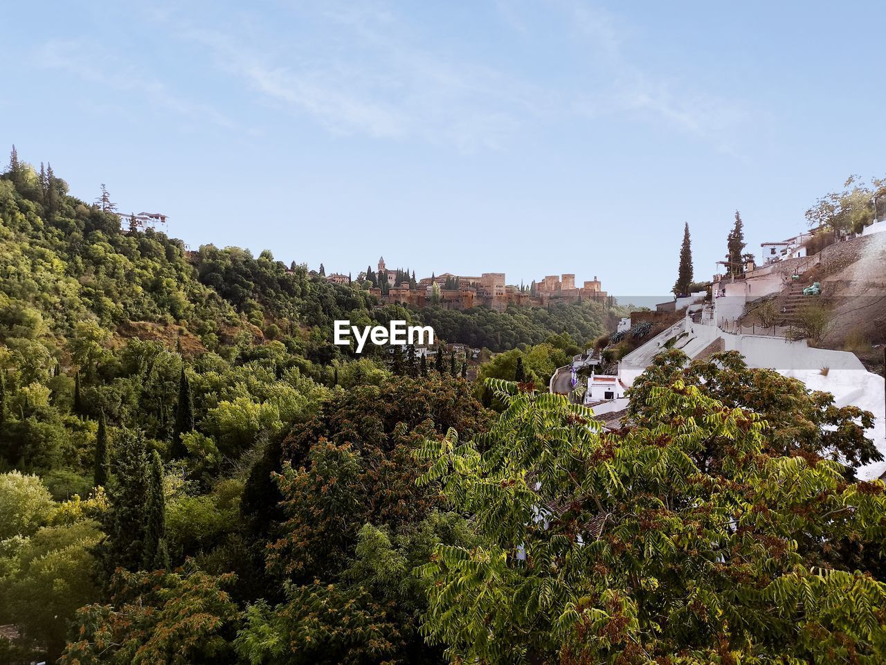 Plants and trees by building against sky