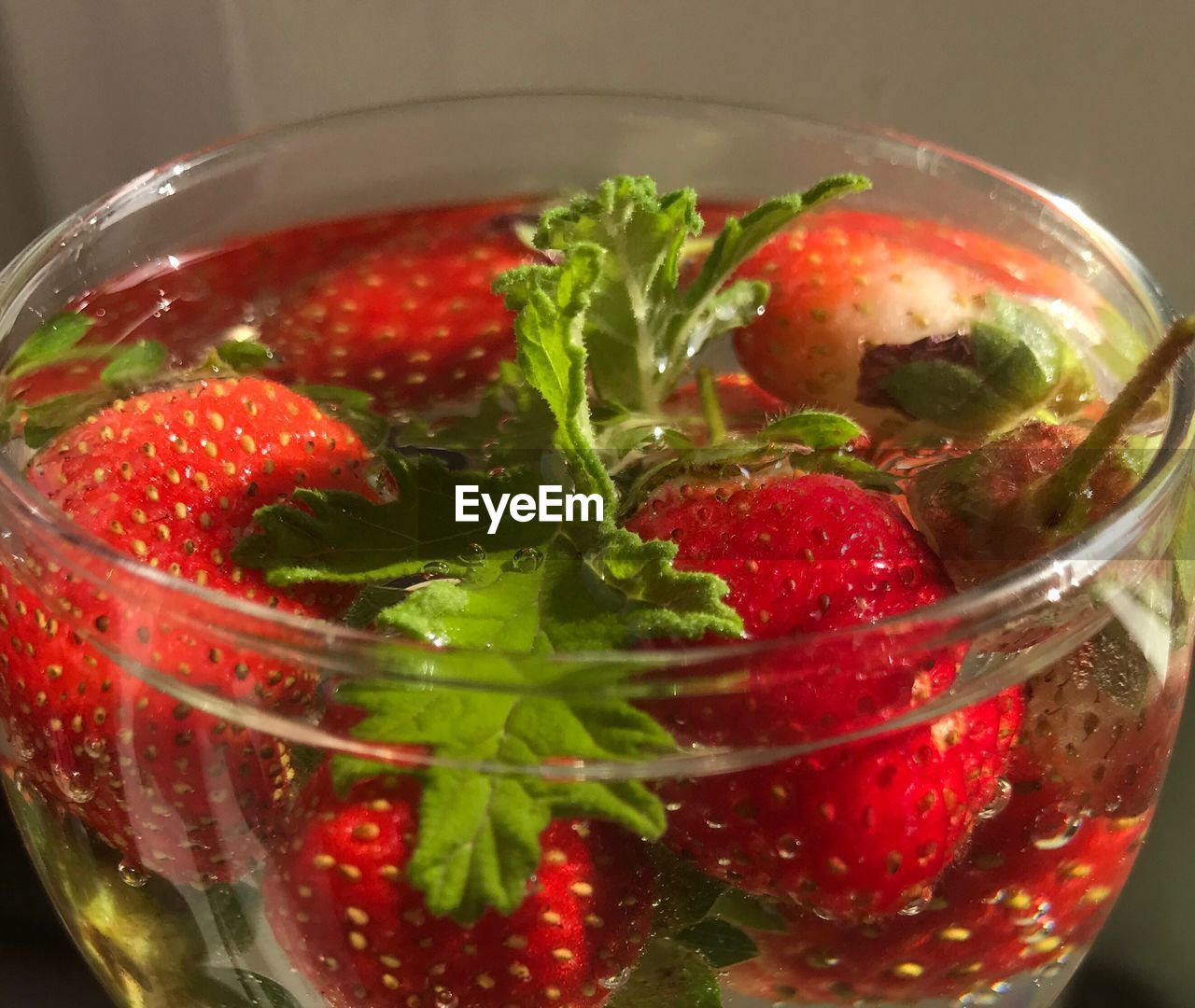CLOSE-UP OF FRESH STRAWBERRIES IN WATER