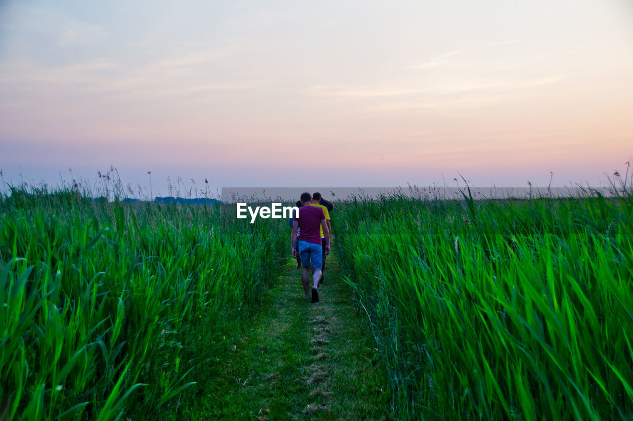 Rear view of people walking in farm against sky during sunset