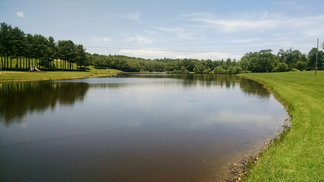 Reflection of trees in lake