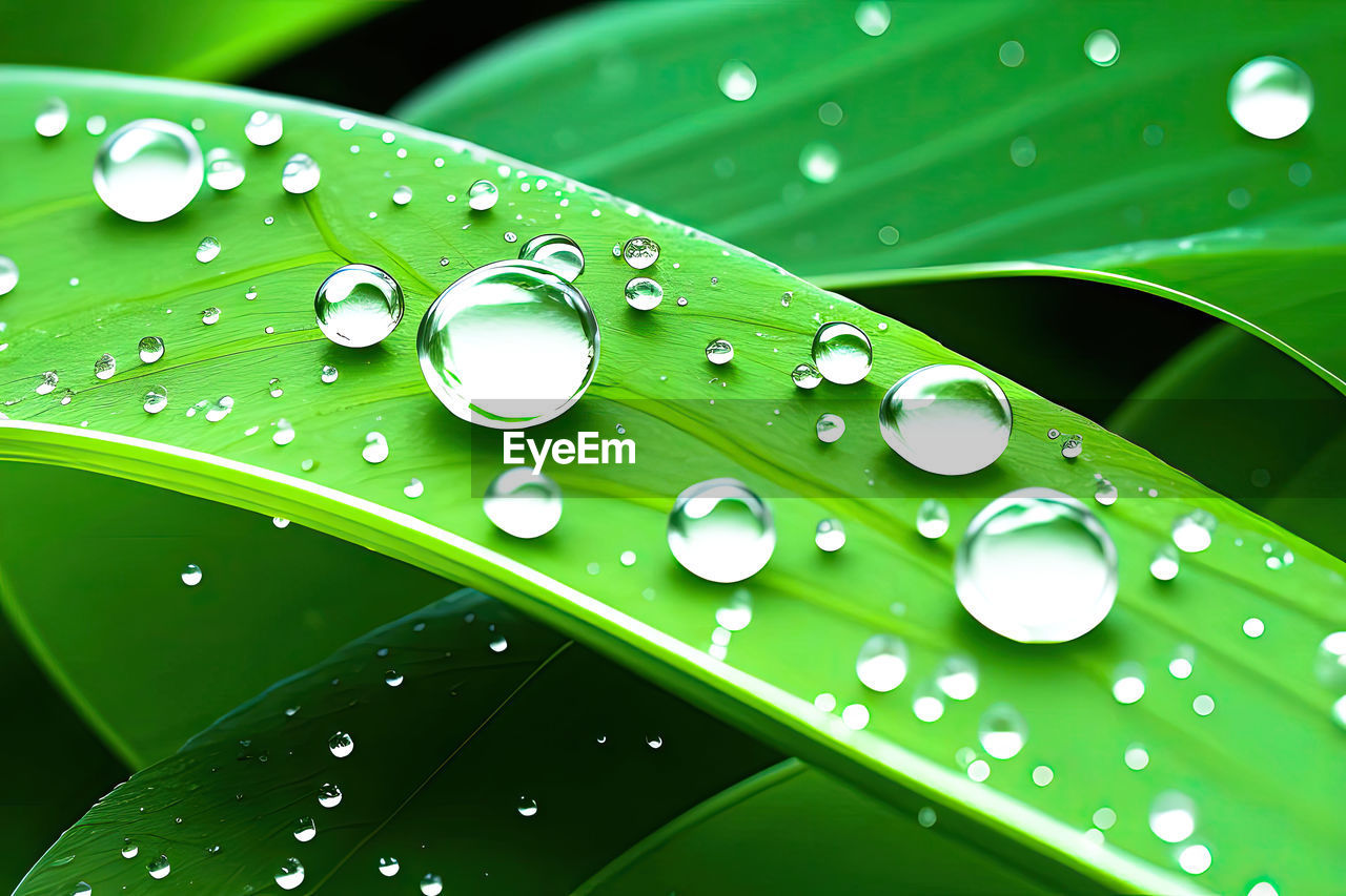 water, drop, green, wet, plant part, leaf, dew, nature, moisture, close-up, rain, no people, freshness, plant, grass, macro photography, beauty in nature, purity, environment, blade of grass, backgrounds, outdoors, fragility, pattern, macro