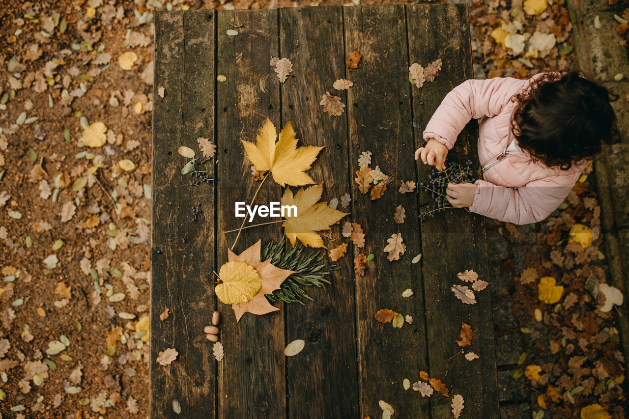 High angle view of maple leaf on autumn leaves