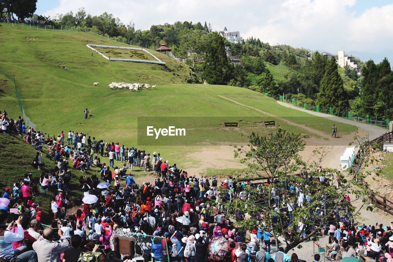 HIGH ANGLE VIEW OF CROWD ON FIELD AGAINST TREES