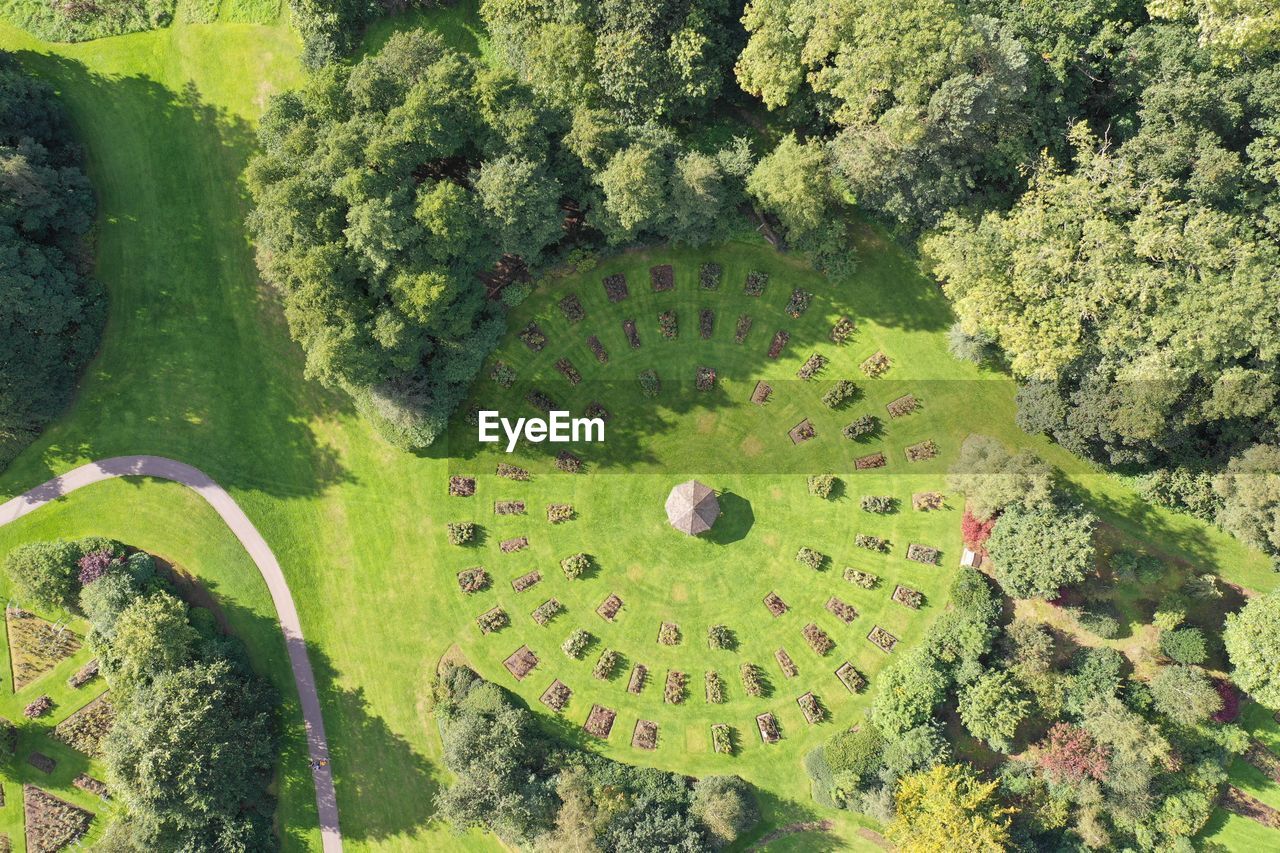 High angle view of trees growing on field