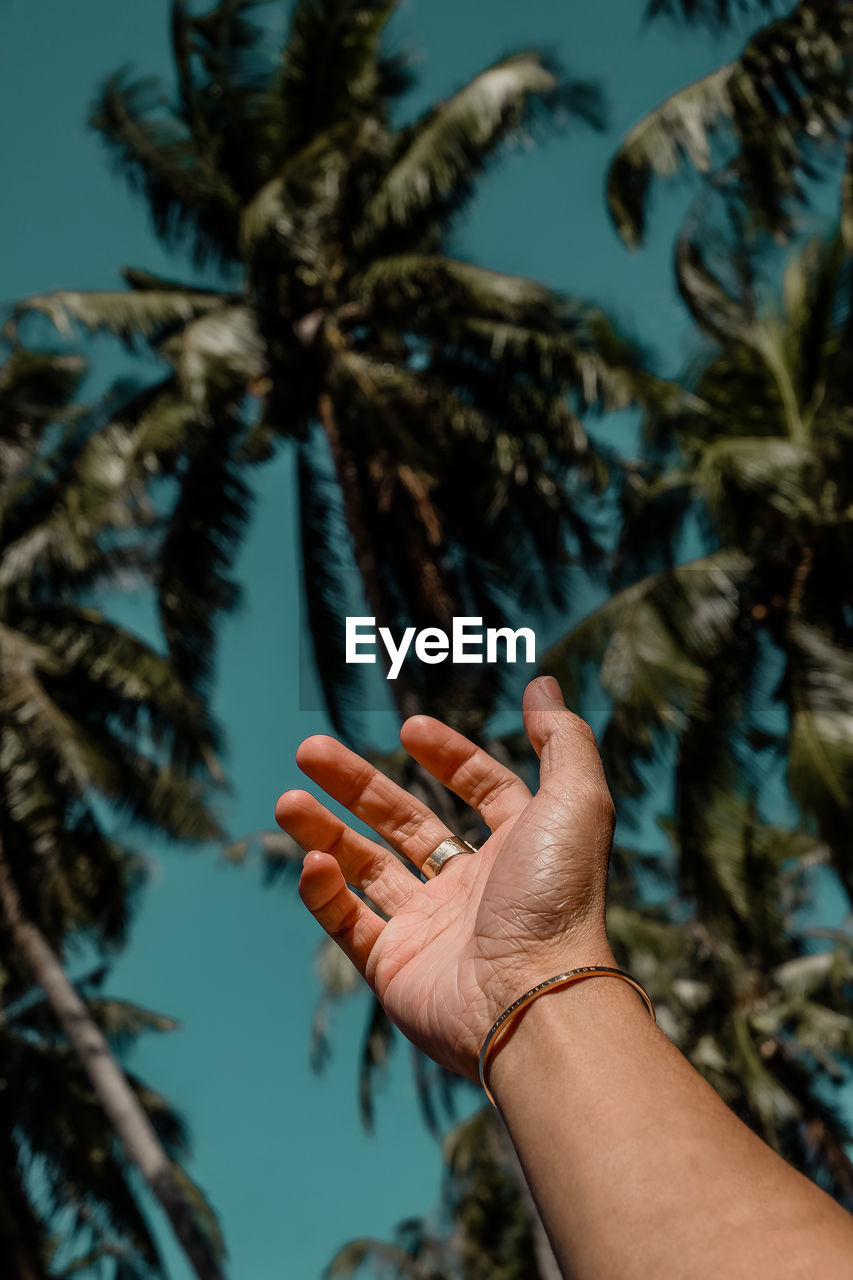 Low angle view of cropped hand gesturing against palm tree