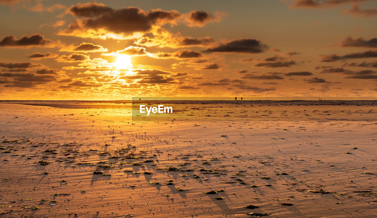 SCENIC VIEW OF BEACH DURING SUNSET