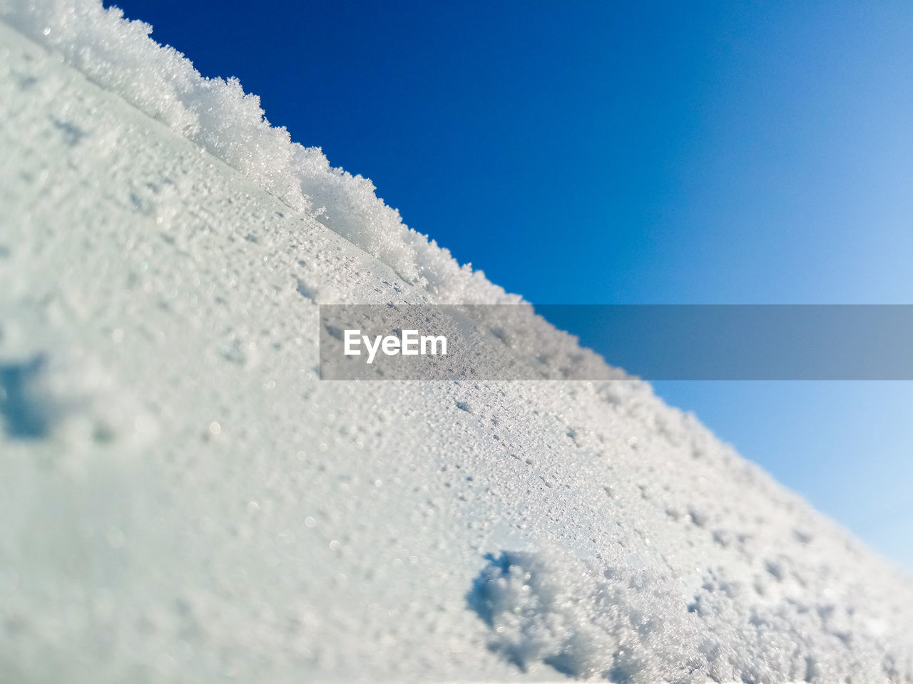 CLOSE-UP OF SNOW COVERED TREE AGAINST BLUE SKY