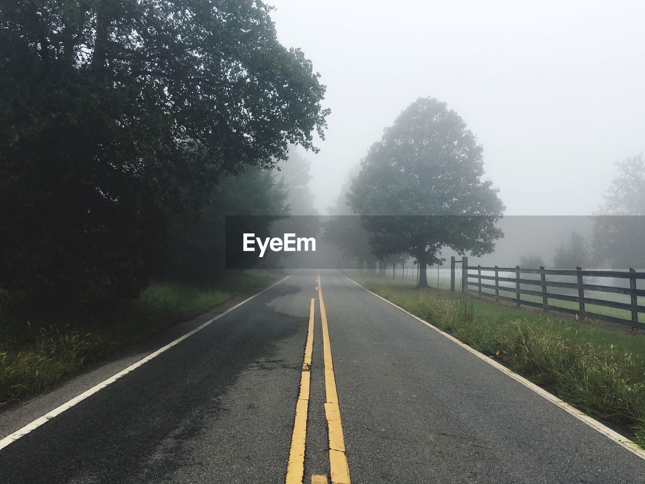 Empty road by trees during foggy weather