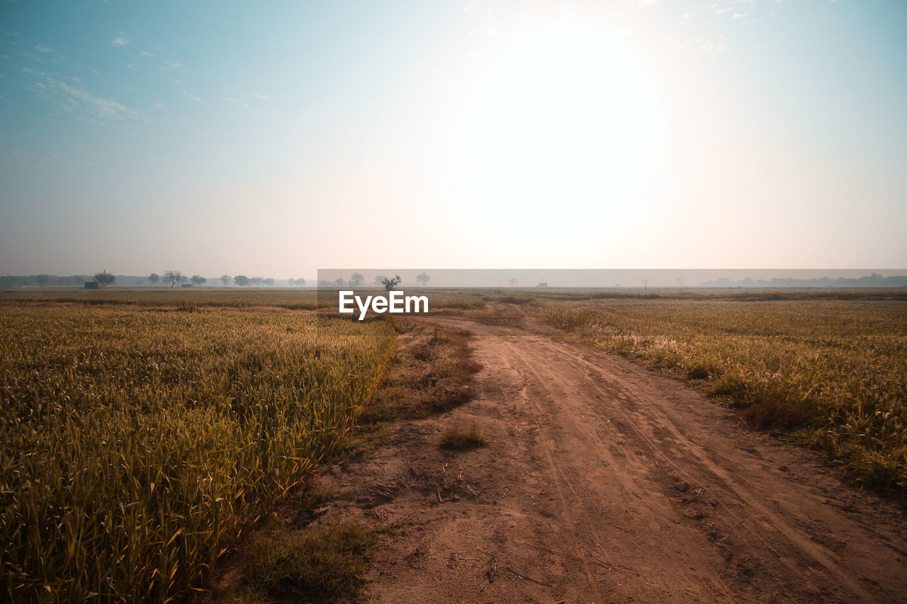 horizon, landscape, sky, environment, morning, land, nature, field, plant, sunlight, rural scene, scenics - nature, prairie, agriculture, road, sun, soil, beauty in nature, tranquility, plain, horizon over land, dirt, rural area, grass, no people, hill, cereal plant, dawn, natural environment, cloud, transportation, dirt road, crop, tranquil scene, sunrise, clear sky, outdoors, blue, day, lens flare, non-urban scene, sunny, grassland, urban skyline, farm, travel, the way forward, growth, summer, steppe, idyllic, sunbeam, footpath