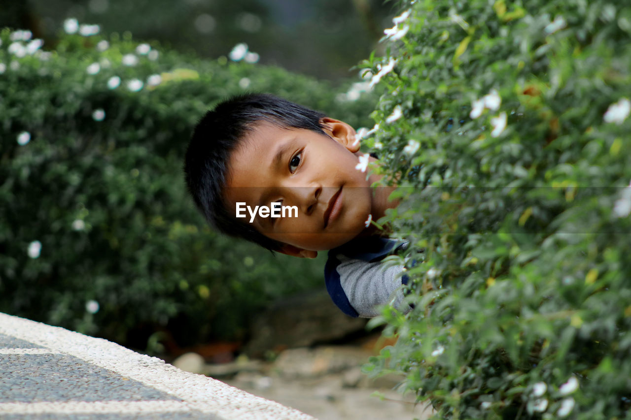 Portrait of boy by flowering plants