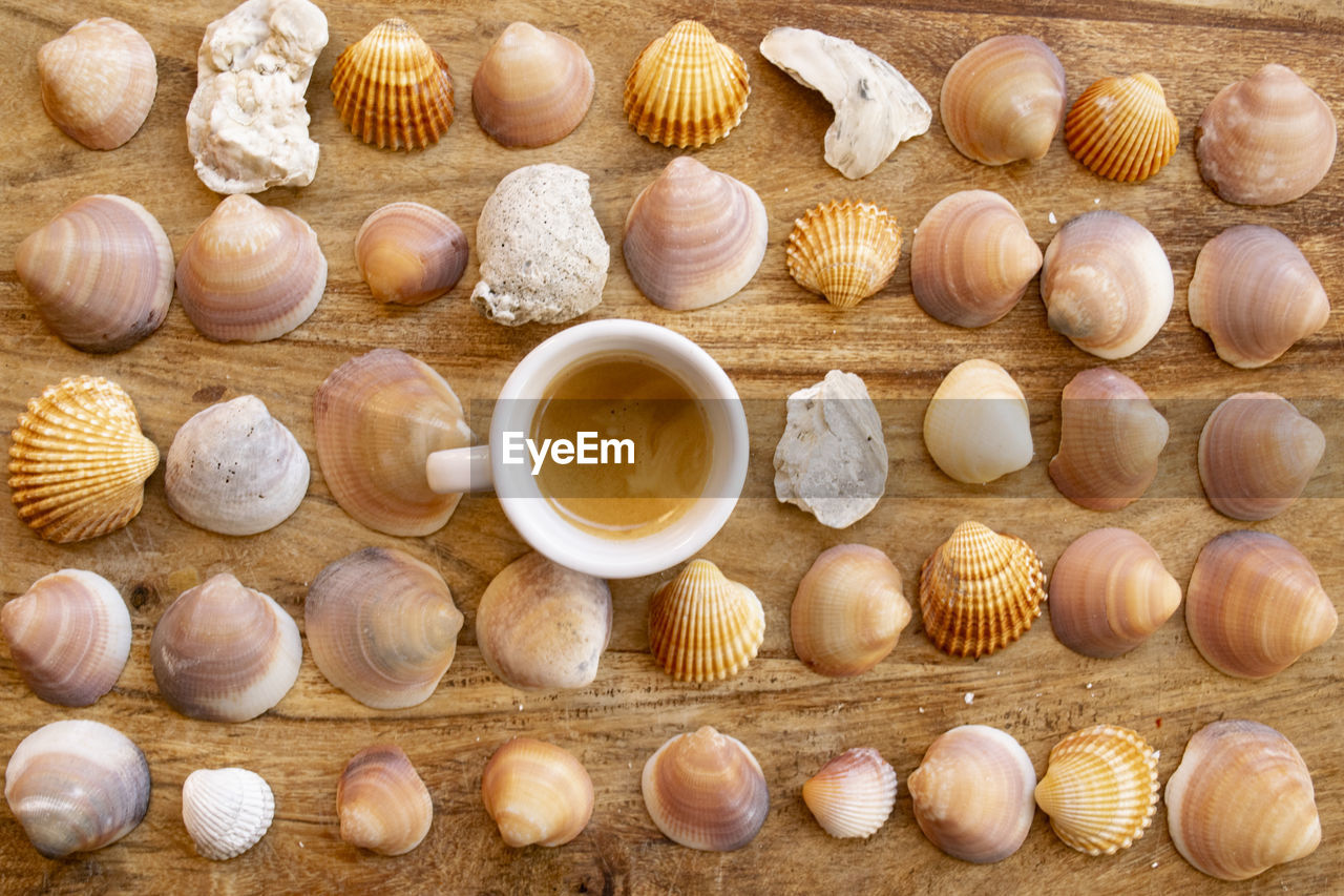 shell, food, cockle, clam, food and drink, seashell, large group of objects, animal shell, no people, conch, animal, high angle view, variation, still life, freshness, knolling - concept, wood, produce, abundance, directly above, nature, shellfish, indoors, animal wildlife, close-up