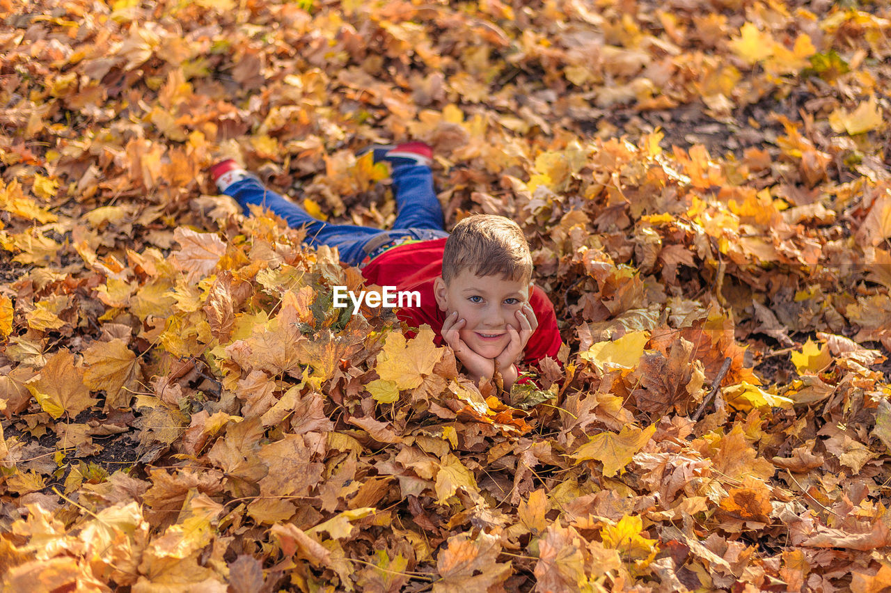 Young handsome guy lies on autumn foliage in the park