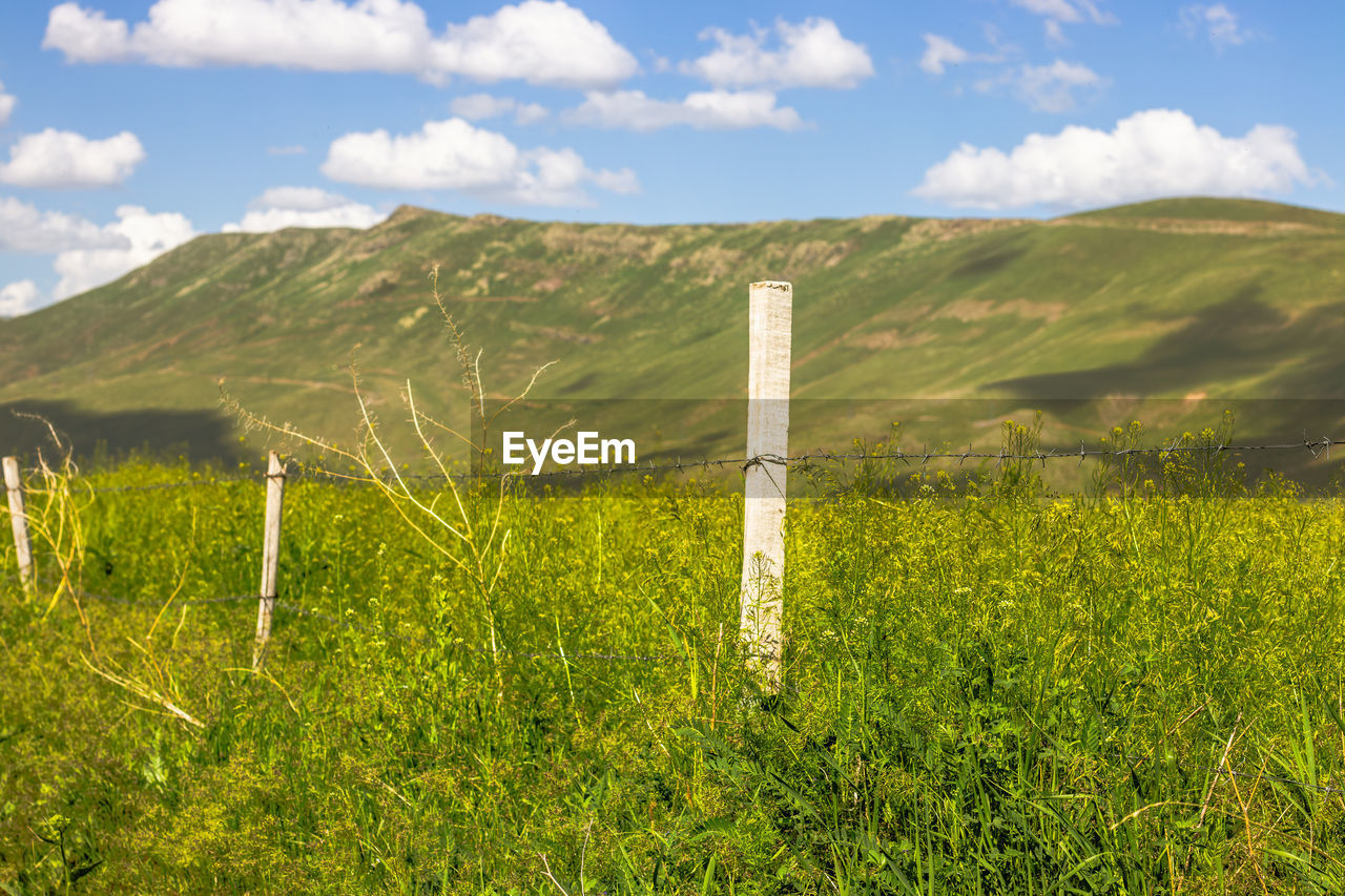 landscape, environment, grassland, land, sky, plant, meadow, hill, nature, scenics - nature, grass, cloud, beauty in nature, green, prairie, field, pasture, natural environment, no people, rural scene, rural area, plain, tranquility, non-urban scene, agriculture, tranquil scene, rapeseed, flower, day, outdoors, horizon, plateau, fence, sunlight, travel, travel destinations, mountain range, springtime, idyllic, summer