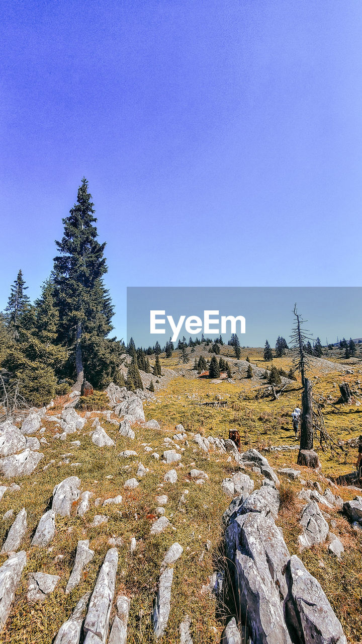 SCENIC VIEW OF ROCKY LANDSCAPE AGAINST BLUE SKY