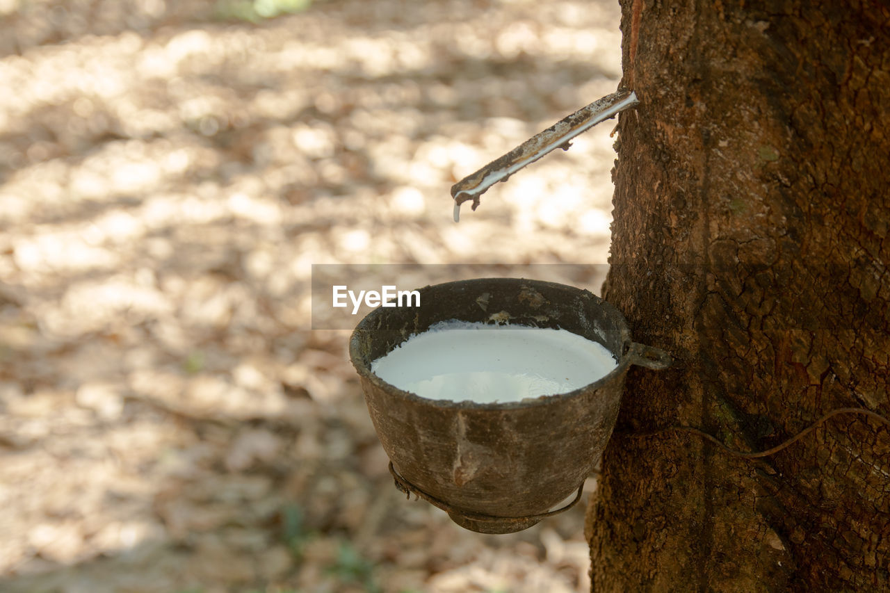 HIGH ANGLE VIEW OF HANGING BY TREE