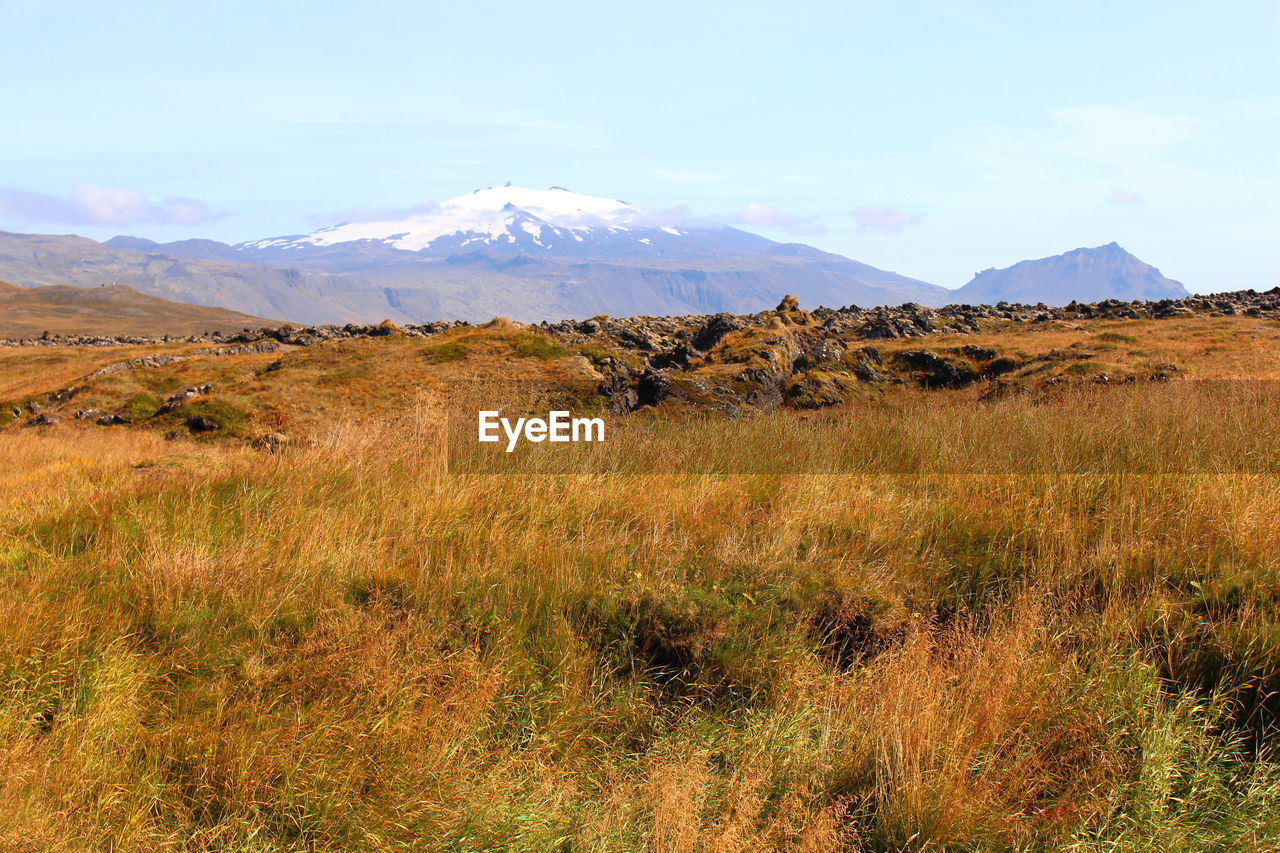 SCENIC VIEW OF LANDSCAPE AND MOUNTAINS AGAINST SKY