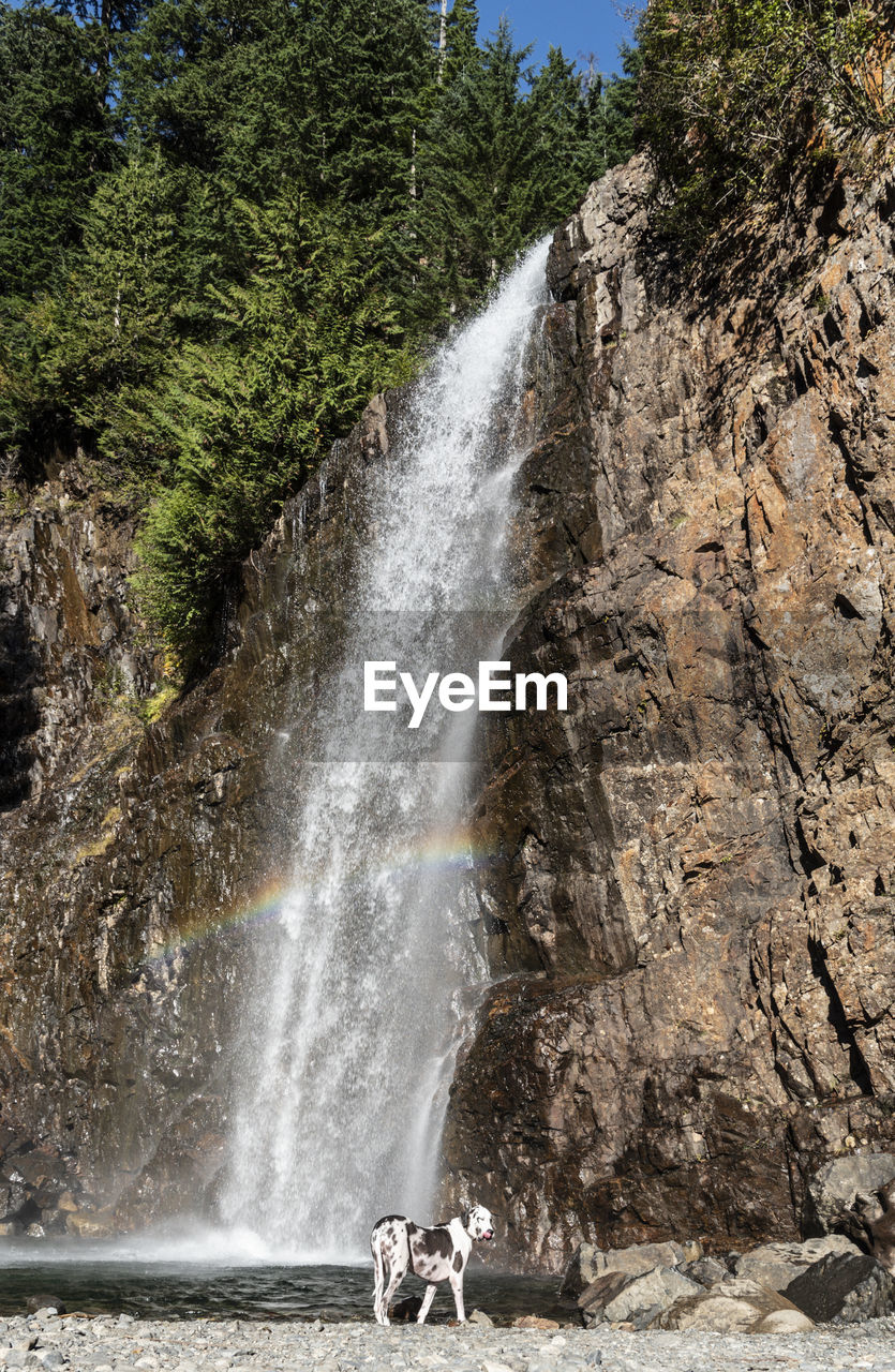 VIEW OF WATERFALL WITH ROCKS