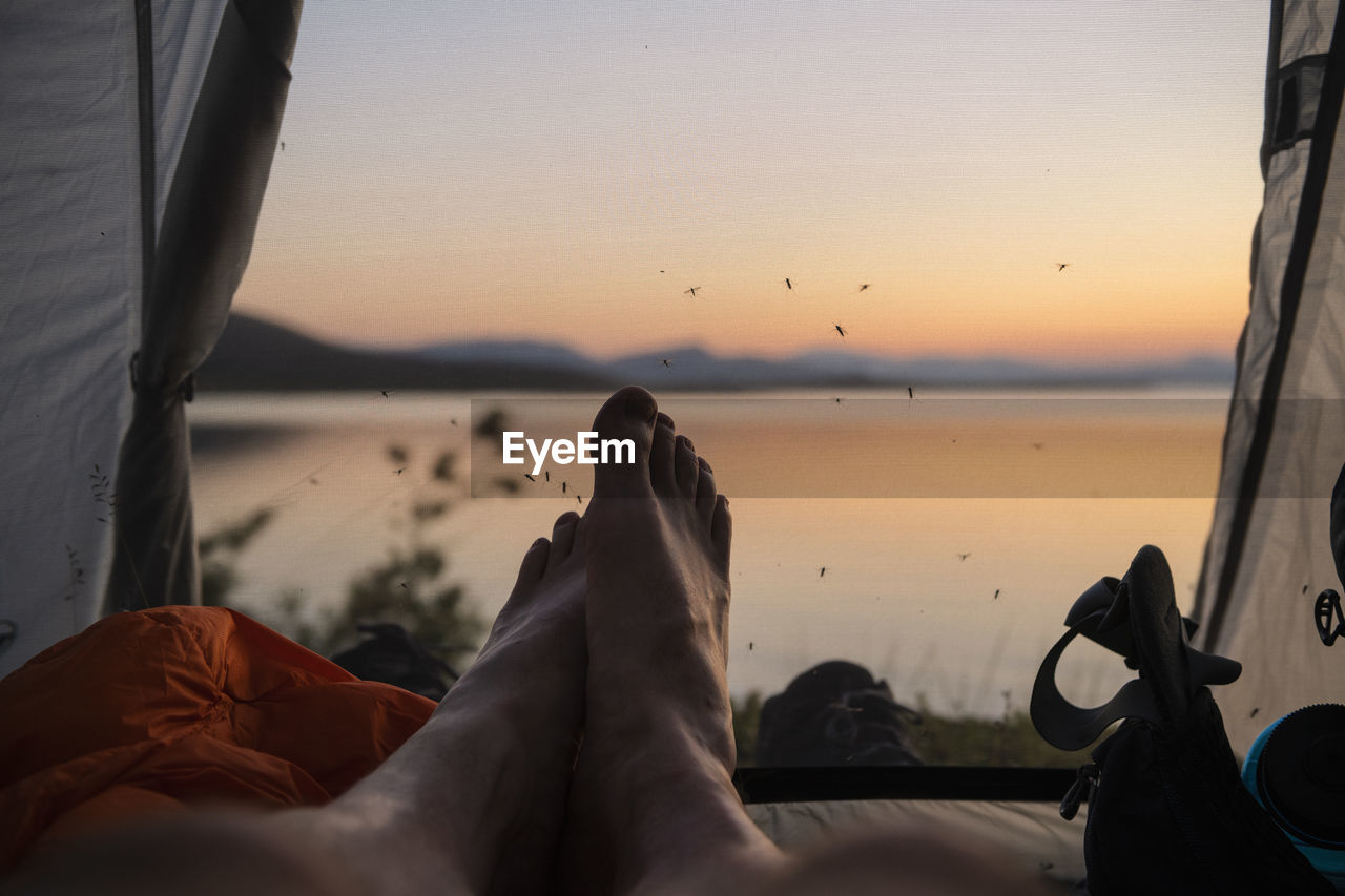 Feet of male hiker inside tent with mosquitos waiting on mesh doorway, staloluokta, padjelantaleden trail, lappland, sweden