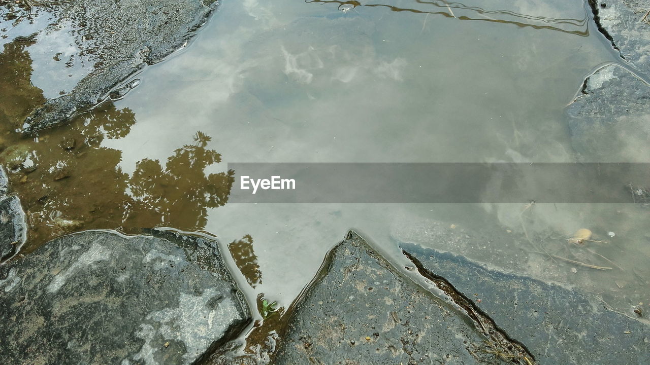 REFLECTION OF TREES IN WATER