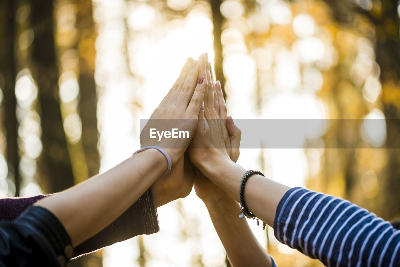 Cropped hands against forest