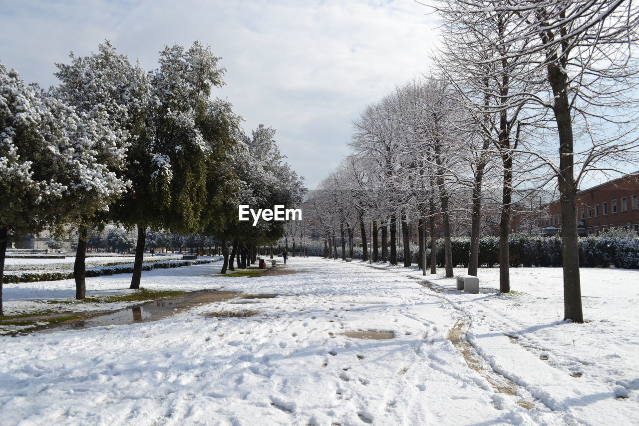 Trees on snow covered field against sky