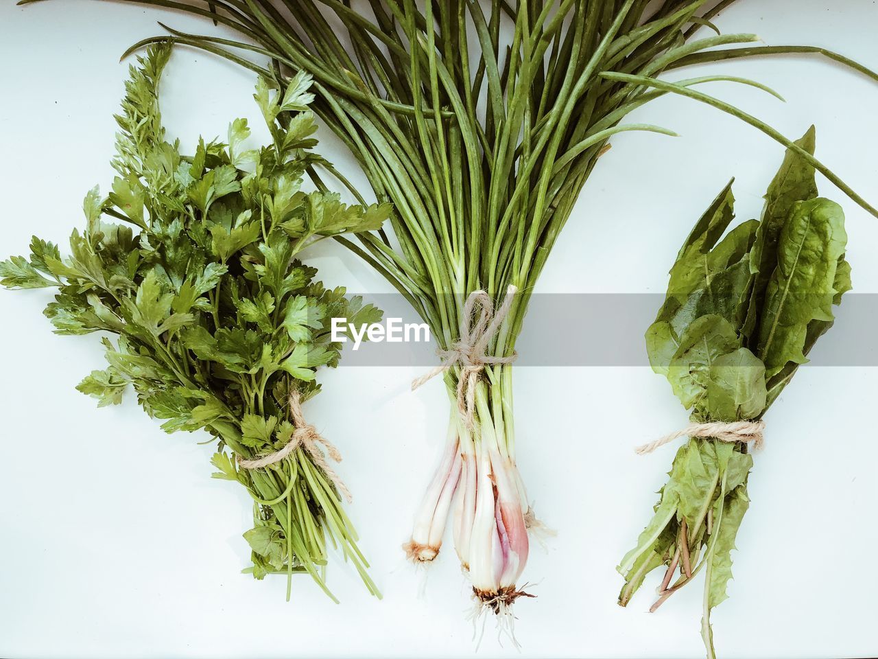 Close-up of green vegetables against white background