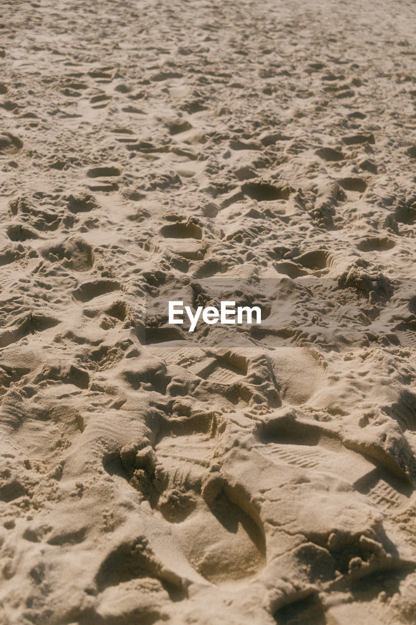 land, beach, sand, sea, nature, shore, water, rock, wave, no people, day, tranquility, coast, beauty in nature, high angle view, pattern, footprint, backgrounds, outdoors, ocean, sunlight, natural environment, scenics - nature, body of water, full frame, tranquil scene, soil