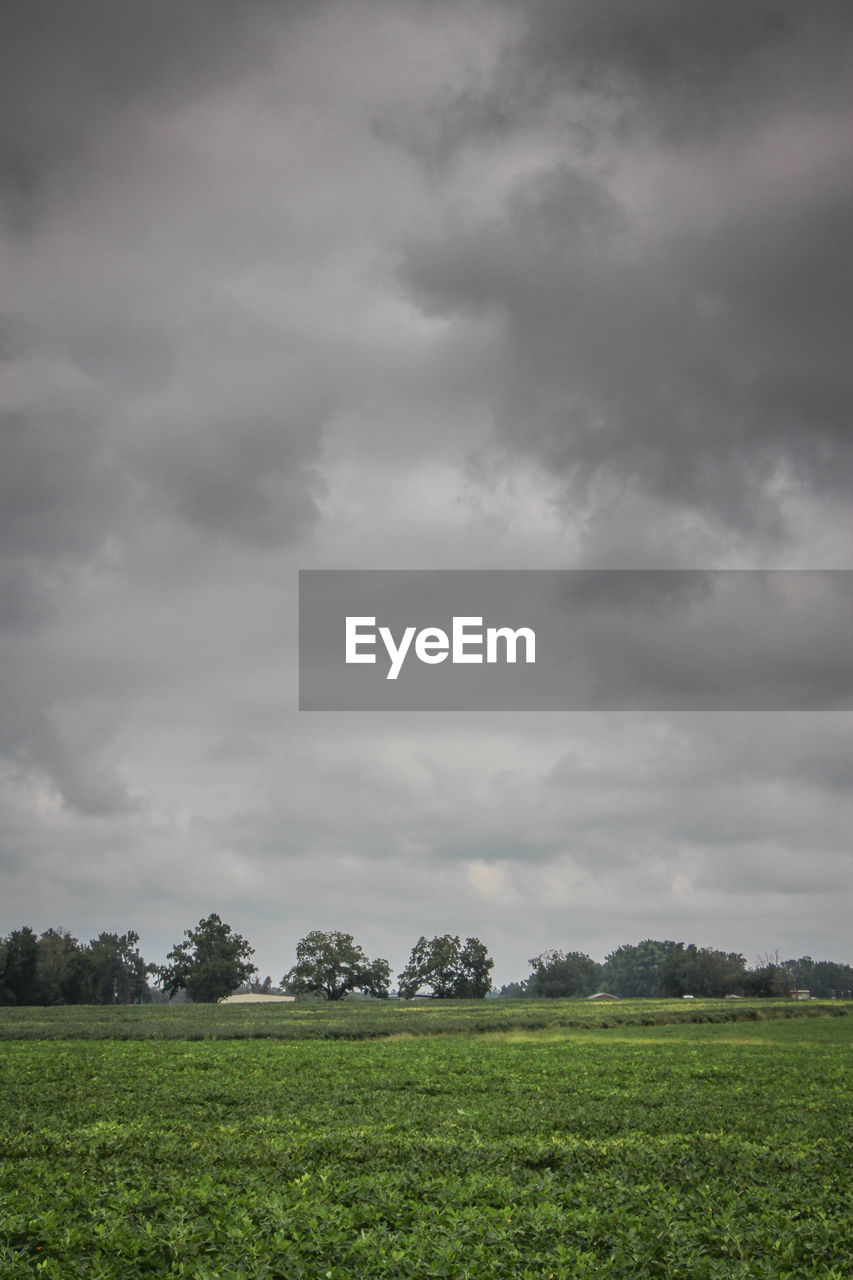 Scenic view of grassy field against cloudy sky